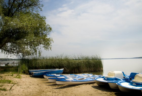 hotel *** - Navigator Hotel i Konferencje - Usługi - zdjęcie 2