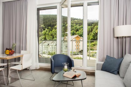 obiekt konferencyjny - Czarna Góra Resort - zdjęcie 12