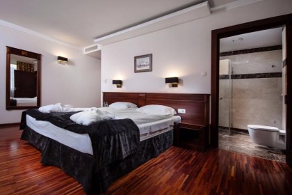 hotel *** - Villa Aurelia Hotel & Spa - zdjęcie 3