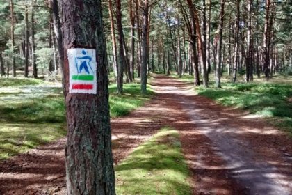 obiekt konferencyjny - Ośrodek Szkoleniowo - Wypoczynkowy Bażyna - zdjęcie 20