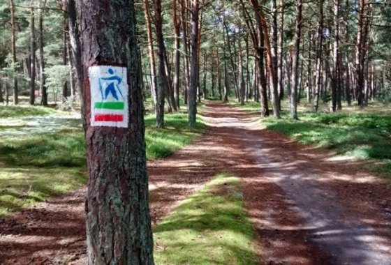 obiekt konferencyjny - Ośrodek Szkoleniowo - Wypoczynkowy Bażyna - Usługi - zdjęcie 4