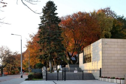 inny - Muzeum Marynarki Wojennej w Gdyni - zdjęcie 4
