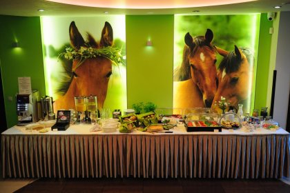 obiekt konferencyjny - Malutkie Resort - zdjęcie 28