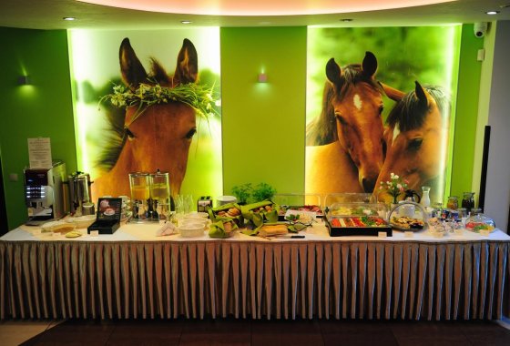 obiekt konferencyjny - Malutkie Resort - Usługi - zdjęcie 13