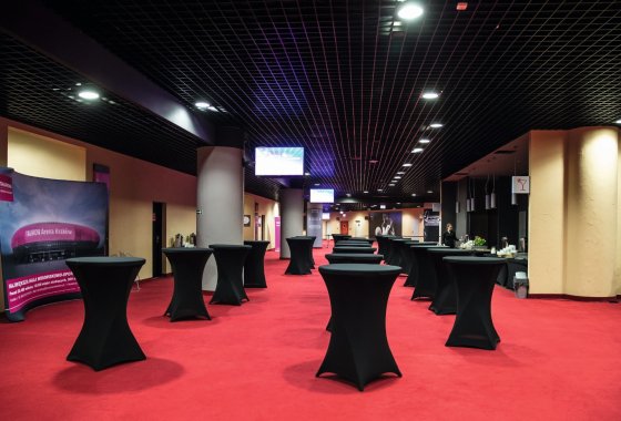 obiekt konferencyjny - TAURON Arena Kraków - Usługi - zdjęcie 2