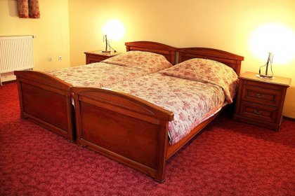 hotel *** - Hotel przy Oślej Bramie - Zamek Książ - zdjęcie 10