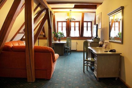 hotel *** - Hotel przy Oślej Bramie - Zamek Książ - zdjęcie 8