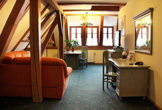 hotel *** - Hotel przy Oślej Bramie - Zamek Książ - Pokoje - zdjęcie 5