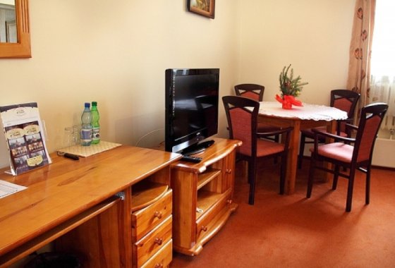 hotel *** - Hotel przy Oślej Bramie - Zamek Książ - Pokoje - zdjęcie 8