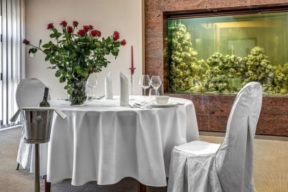 hotel **** - Grand Royal Hotel - zdjęcie 19