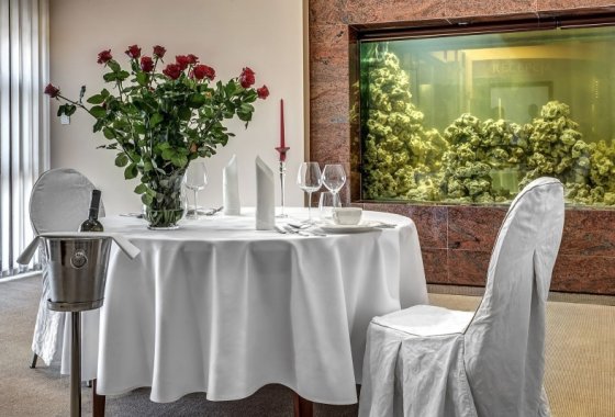 hotel **** - Grand Royal Hotel - Usługi - zdjęcie 9