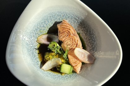 hotel **** - Hotel Platinum Palace Residence**** Poznań - zdjęcie 18
