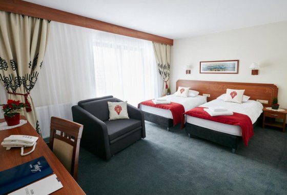 hotel *** - Hotel Logos*** Zakopane - Pokoje - zdjęcie 4