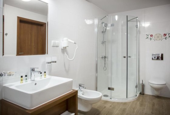 hotel *** - Hotel Logos*** Zakopane - Pokoje - zdjęcie 12