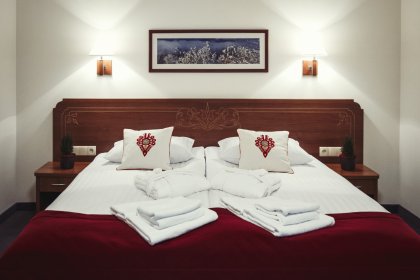hotel *** - Hotel Logos*** Zakopane - zdjęcie 8