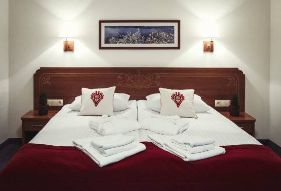 hotel *** - Hotel Logos*** Zakopane - Pokoje - zdjęcie 1