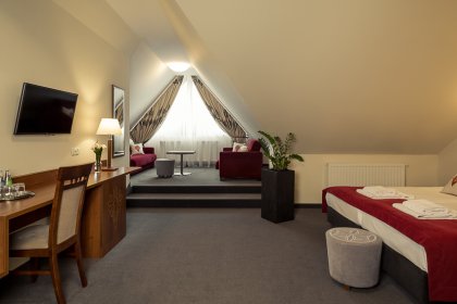 hotel *** - Hotel Logos*** Zakopane - zdjęcie 14