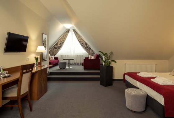 hotel *** - Hotel Logos*** Zakopane - Pokoje - zdjęcie 7
