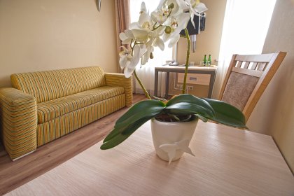 hotel *** - Hotel Jarota*** - zdjęcie 6