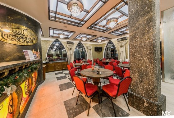 hotel **** - Norweska Dolina - Usługi - zdjęcie 4