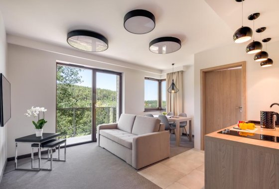 hotel - Czarny Kamień Resort&SPA - Pokoje - zdjęcie 1