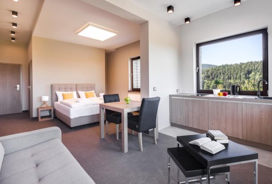 hotel - Czarny Kamień Resort&SPA - Pokoje - zdjęcie 2