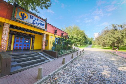 inny - Restauracja Blue Cactus - zdjęcie 1