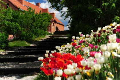 hotel **** - Olandia - zdjęcie 7