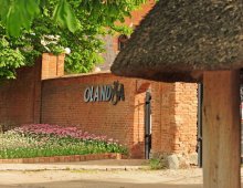 Olandia