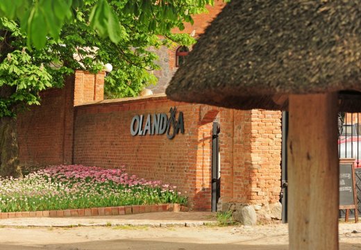 Olandia