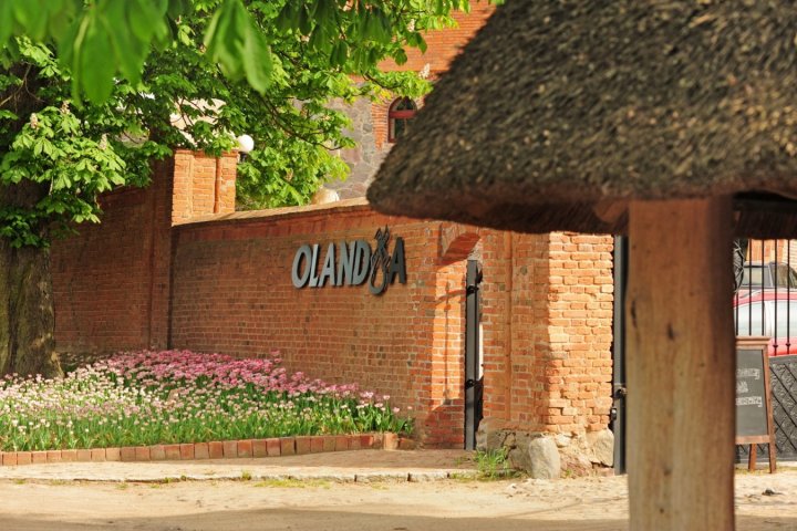 Olandia