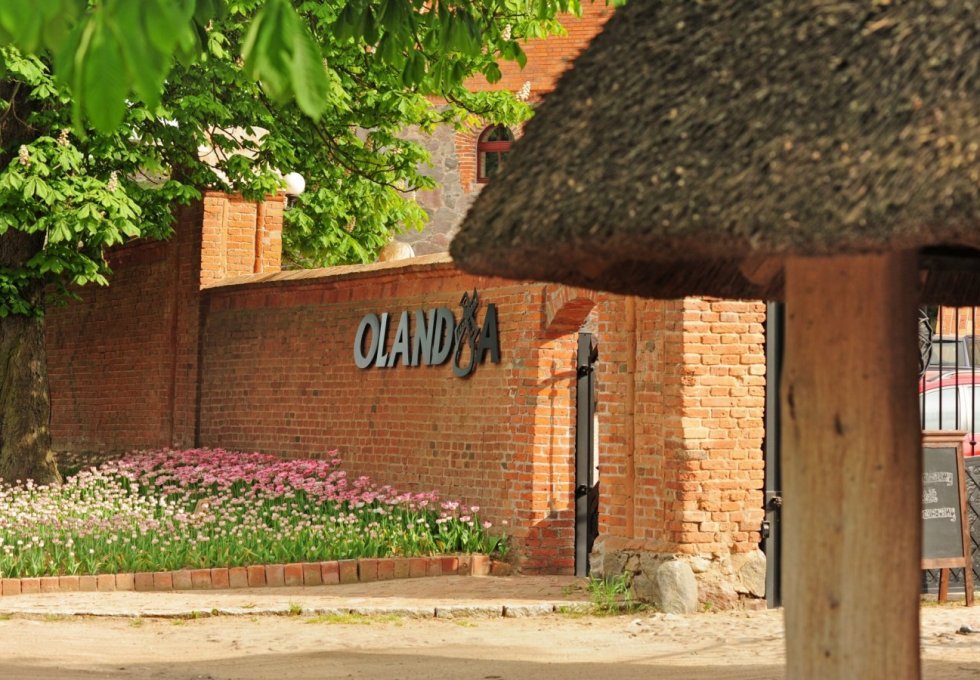 hotel **** - Olandia