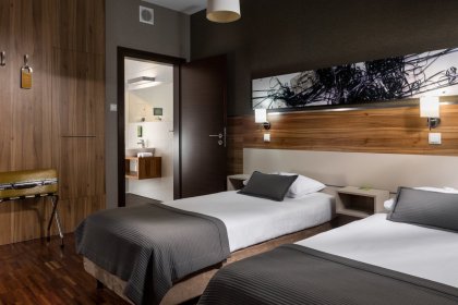 hotel *** - Hotel Beethoven - zdjęcie 9