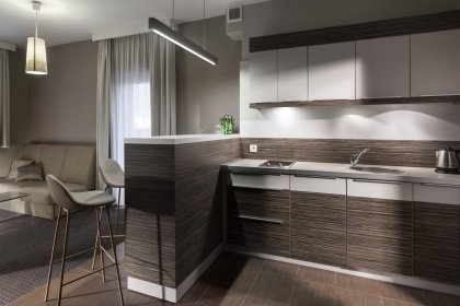 hotel *** - Hotel Beethoven - zdjęcie 13