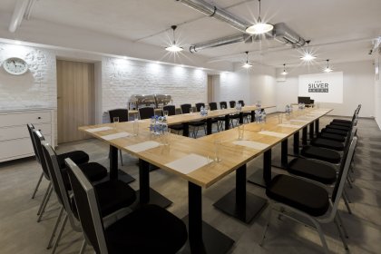 hotel *** - Hotel Silver - zdjęcie 17