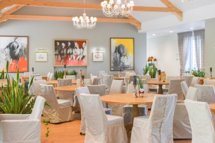hotel **** - Ostoja Chobienice - zdjęcie 48