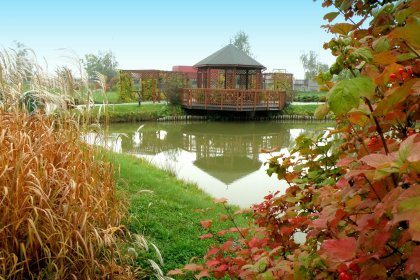 hotel *** - Hotel 500 Tarnowo Podgórne - zdjęcie 3