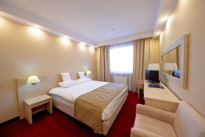 hotel *** - Hotel 500 Tarnowo Podgórne - zdjęcie 9