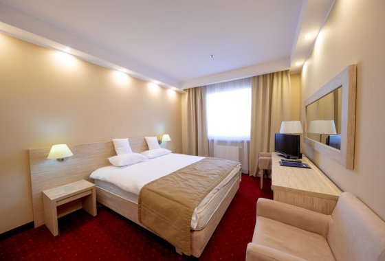 hotel *** - Hotel 500 Tarnowo Podgórne - Pokoje - zdjęcie 1