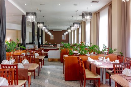 hotel *** - Hotel 500 Tarnowo Podgórne - zdjęcie 12
