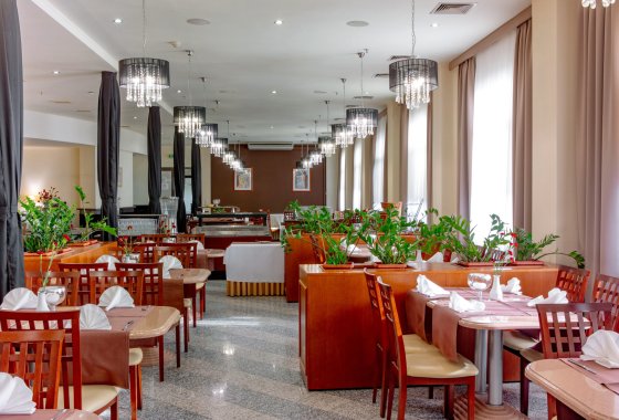 hotel *** - Hotel 500 Tarnowo Podgórne - Usługi - zdjęcie 2