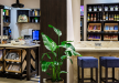 hotel **** - Hilton Garden Inn Krakow Airport - zdjęcie 27