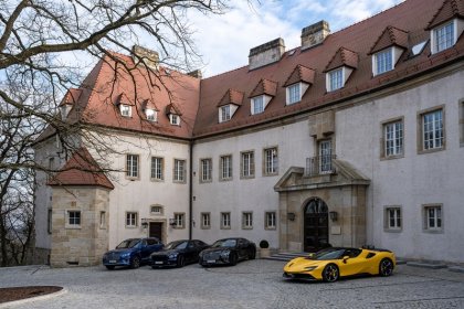 hotel ***** - Wzgórze Zamkowe - Zinar Castle, zabytkowa Baszta i Forest Hotel - zdjęcie 3