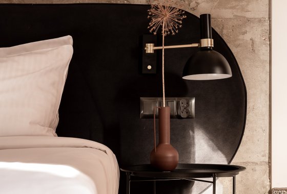 hotel ***** - Wzgórze Zamkowe - Zinar Castle, zabytkowa Baszta i Forest Hotel - Pokoje - zdjęcie 12