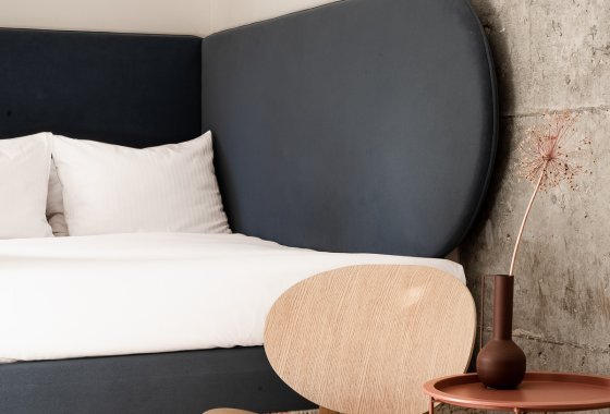 hotel ***** - Wzgórze Zamkowe - Zinar Castle, zabytkowa Baszta i Forest Hotel - Pokoje - zdjęcie 20