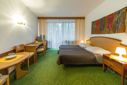 hotel *** - Hotel Tatry*** - zdjęcie 13