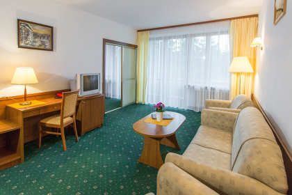 hotel *** - Hotel Tatry*** - zdjęcie 14