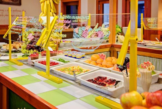 hotel *** - Hotel Picaro***Kraśnik Dolny - Usługi - zdjęcie 1