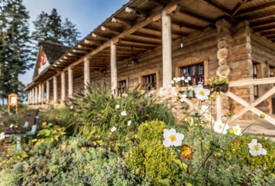hotel *** - Hotel Picaro***Stok - Usługi - zdjęcie 11