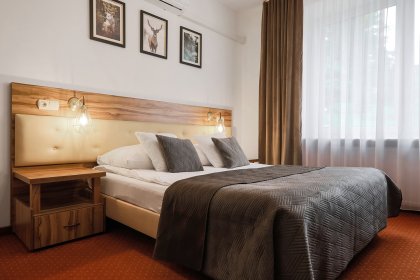 hotel *** - Hotel Łaziska *** MAŁOPOLSKA - zdjęcie 18